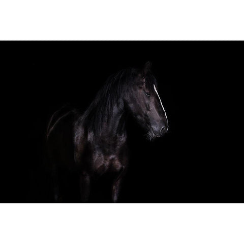 Erika Gold Ornate Wood Framed Art Print with Double Matting by Rehpoehler