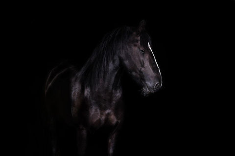 Erika White Modern Wood Framed Art Print with Double Matting by Rehpoehler