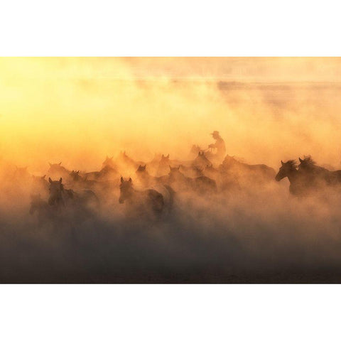 YAplkAp Horses Black Modern Wood Framed Art Print with Double Matting by Sozen, Ozden