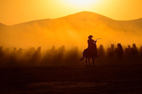 Chasing the Jades White Modern Wood Framed Art Print with Double Matting by Pancareken, Yavuz