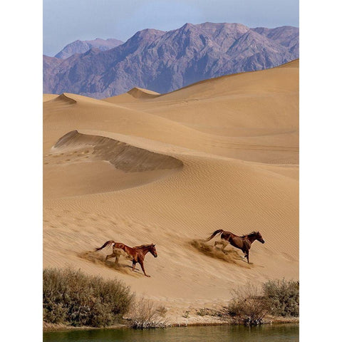 Salvation Black Modern Wood Framed Art Print by Fazaeli, Davoud