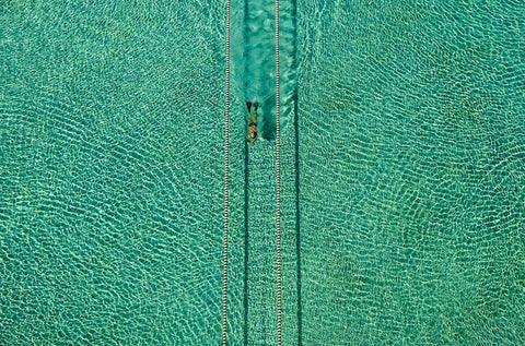 Swimmer White Modern Wood Framed Art Print with Double Matting by Nikzad Amoli, Hossein