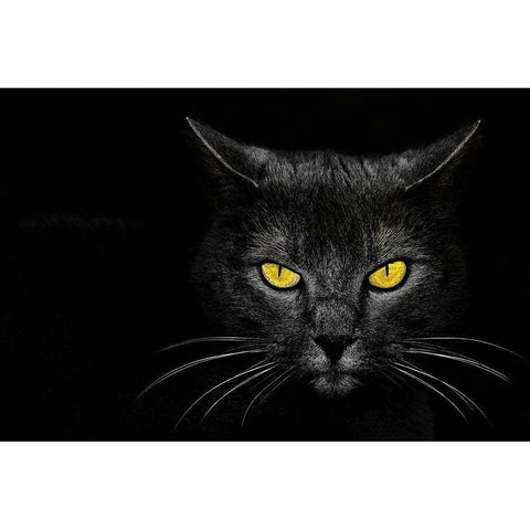 Monster Kill Black Modern Wood Framed Art Print with Double Matting by Baloh, Davorin