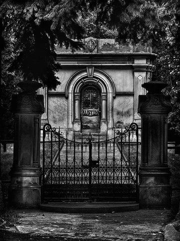 Tombstone Shadow No 6 Black Ornate Wood Framed Art Print with Double Matting by Carson, Brian