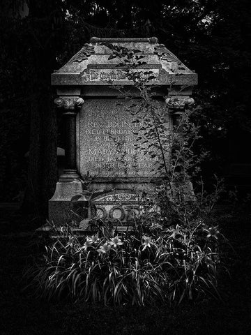 Tombstone Shadow No 30 Black Ornate Wood Framed Art Print with Double Matting by Carson, Brian