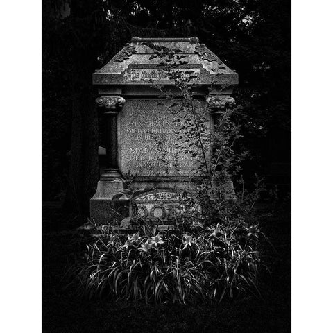 Tombstone Shadow No 30 Gold Ornate Wood Framed Art Print with Double Matting by Carson, Brian