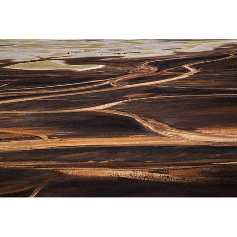The wild Gold Ornate Wood Framed Art Print with Double Matting by Chang, Phillip