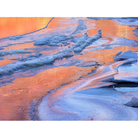 Ice on Colorado River-Cataract Canyon near Moab-Utah White Modern Wood Framed Art Print by Fitzharris, Tim
