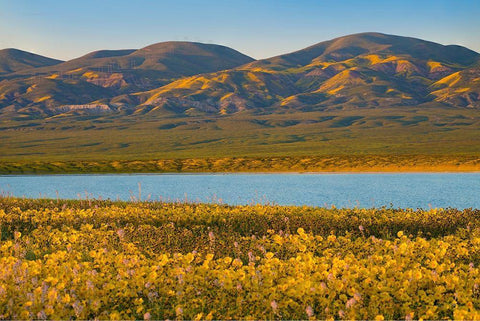 Temblor Range at Soda Lake -Carrizo Plain National Monument-California White Modern Wood Framed Art Print with Double Matting by Fitzharris, Tim