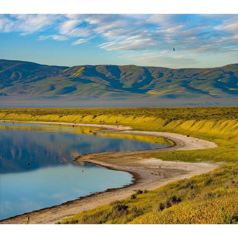 Soda Lake-Carrizo Plain National Monument Black Modern Wood Framed Art Print with Double Matting by Fitzharris, Tim