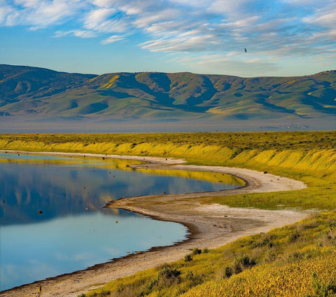 Soda Lake-Carrizo Plain National Monument White Modern Wood Framed Art Print with Double Matting by Fitzharris, Tim