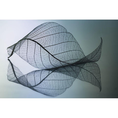 Curvaceousness White Modern Wood Framed Art Print by Kowatari, Shihya