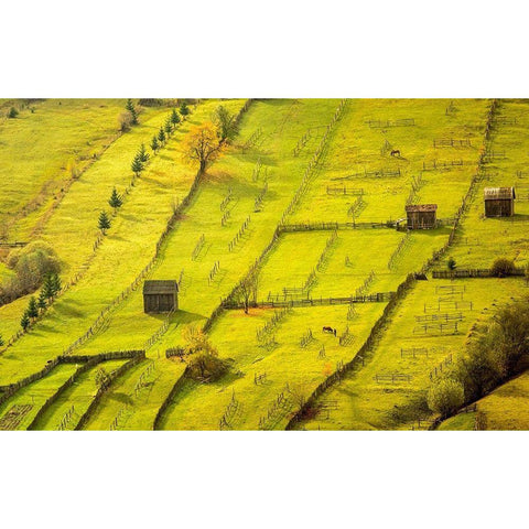 Geometric Black Modern Wood Framed Art Print with Double Matting by Gyozo, Hamos