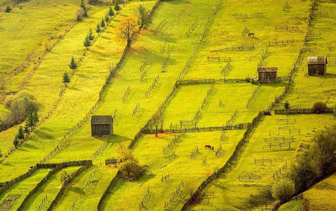 Geometric White Modern Wood Framed Art Print with Double Matting by Gyozo, Hamos