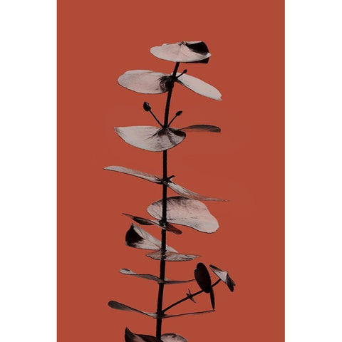 Eucalyptus Rust 02 Gold Ornate Wood Framed Art Print with Double Matting by Artographie Studio