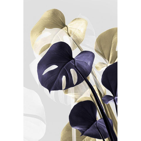 Monstera Creative 14 Gold Ornate Wood Framed Art Print with Double Matting by Artographie Studio