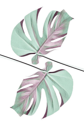 Ying Yang 01 White Modern Wood Framed Art Print with Double Matting by Artographie Studio