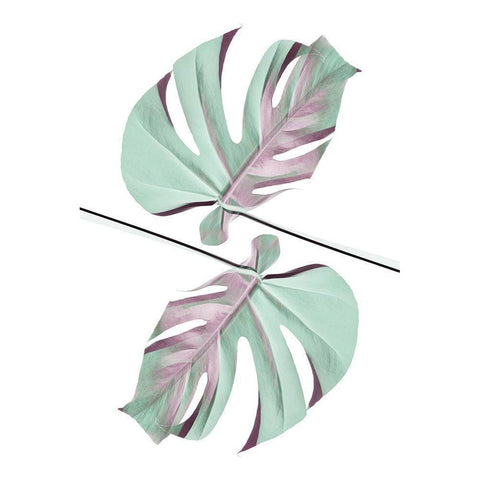 Ying Yang 01 Gold Ornate Wood Framed Art Print with Double Matting by Artographie Studio