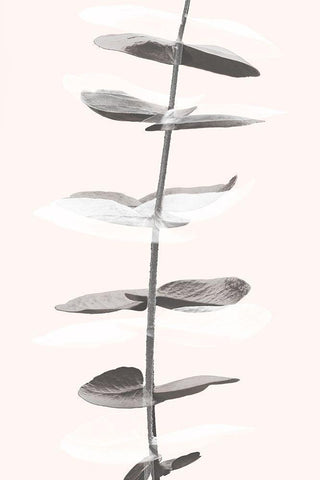 Eucalyptus Creative 11 White Modern Wood Framed Art Print with Double Matting by Artographie Studio