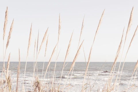 Beach Vass 002 White Modern Wood Framed Art Print with Double Matting by Artographie Studio