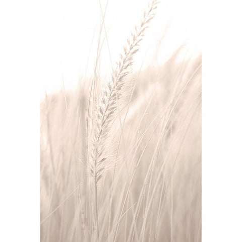 Grass 001 Black Modern Wood Framed Art Print by Artographie Studio