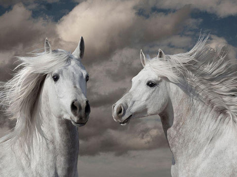 Close Friends White Modern Wood Framed Art Print with Double Matting by Llovet, Jorge