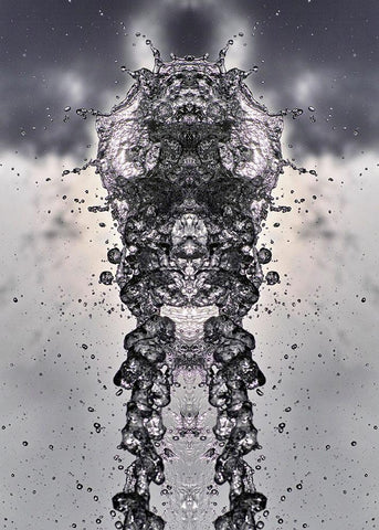 Splashhead Black Ornate Wood Framed Art Print with Double Matting by NUPHO