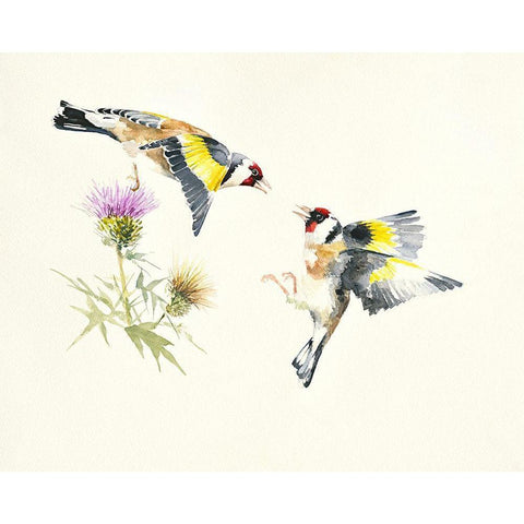 Goldfinches White Modern Wood Framed Art Print by Mayes, Hilary