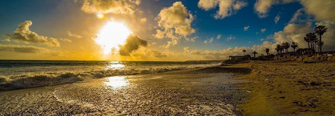 Reflections Black Ornate Wood Framed Art Print with Double Matting by Lichtenwalter, Tom