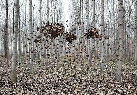 Pause Número I White Modern Wood Framed Art Print with Double Matting by Vallinas Prieto, Miguel