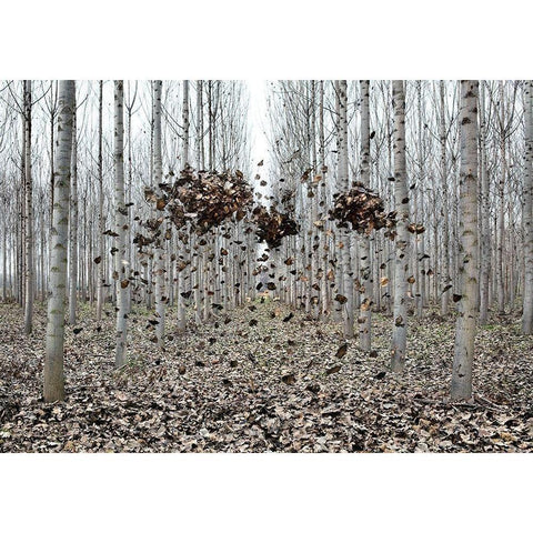 Pause Número I Black Modern Wood Framed Art Print by Vallinas Prieto, Miguel