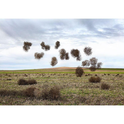 Pause Número II White Modern Wood Framed Art Print by Vallinas Prieto, Miguel