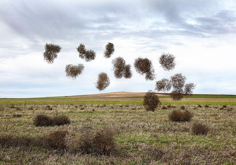 Pause Número II White Modern Wood Framed Art Print with Double Matting by Vallinas Prieto, Miguel