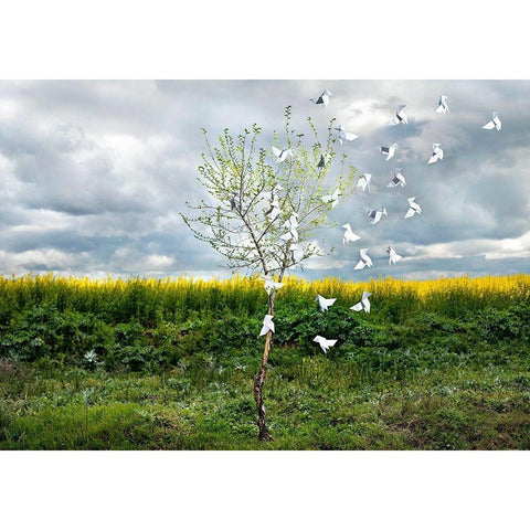 Pause Número VII White Modern Wood Framed Art Print by Vallinas Prieto, Miguel