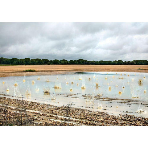 Pause Número XI Gold Ornate Wood Framed Art Print with Double Matting by Vallinas Prieto, Miguel