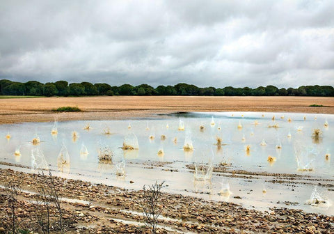 Pause Número XI Black Ornate Wood Framed Art Print with Double Matting by Vallinas Prieto, Miguel