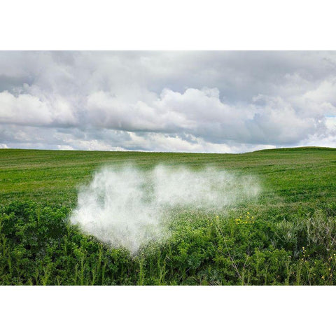 Pause Número XII Black Modern Wood Framed Art Print with Double Matting by Vallinas Prieto, Miguel