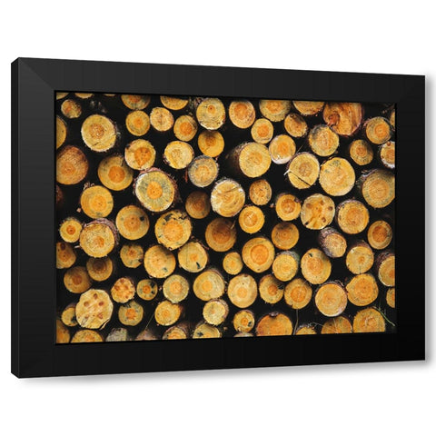 Abstract 2 Black Modern Wood Framed Art Print by Lee, Rachel