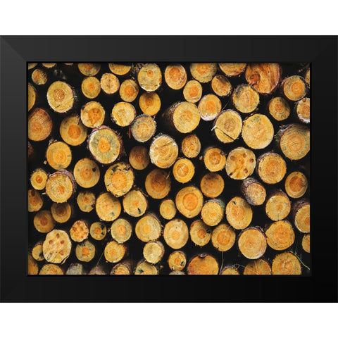 Abstract 2 Black Modern Wood Framed Art Print by Lee, Rachel
