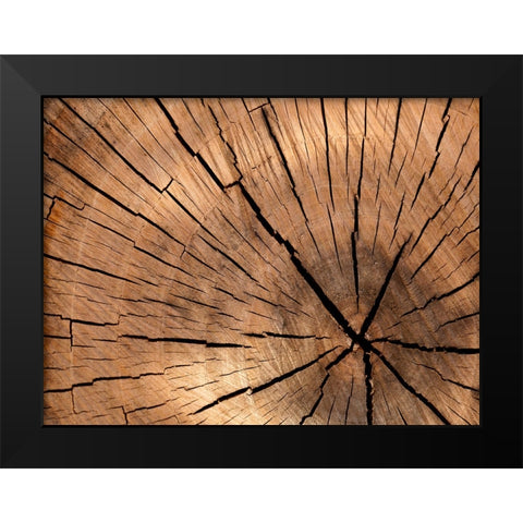 Abstract 4 Black Modern Wood Framed Art Print by Lee, Rachel
