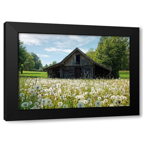 Barn 4 Black Modern Wood Framed Art Print with Double Matting by Lee, Rachel