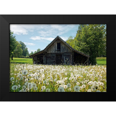 Barn 4 Black Modern Wood Framed Art Print by Lee, Rachel