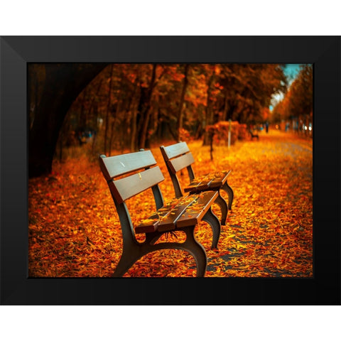 Bench 1 Black Modern Wood Framed Art Print by Lee, Rachel