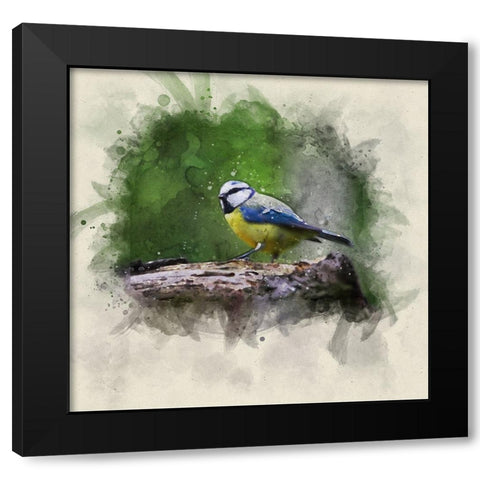 Bird 22 Watercolor Black Modern Wood Framed Art Print with Double Matting by Lee, Rachel