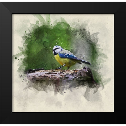 Bird 22 Watercolor Black Modern Wood Framed Art Print by Lee, Rachel
