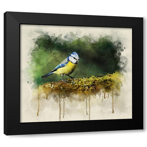 Bird 3 Watercolor Black Modern Wood Framed Art Print with Double Matting by Lee, Rachel