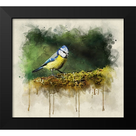 Bird 3 Watercolor Black Modern Wood Framed Art Print by Lee, Rachel