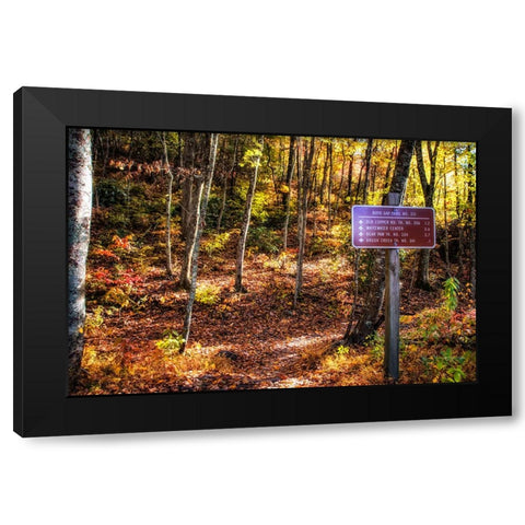 Boyd Gap Trail Black Modern Wood Framed Art Print by Lee, Rachel