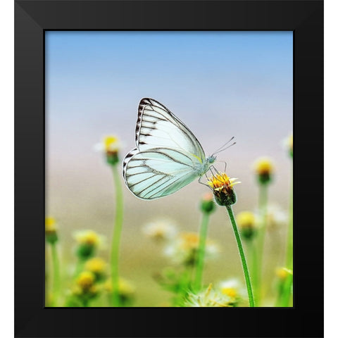 Butterfly 10 Dyptych Panel 1 Black Modern Wood Framed Art Print by Lee, Rachel