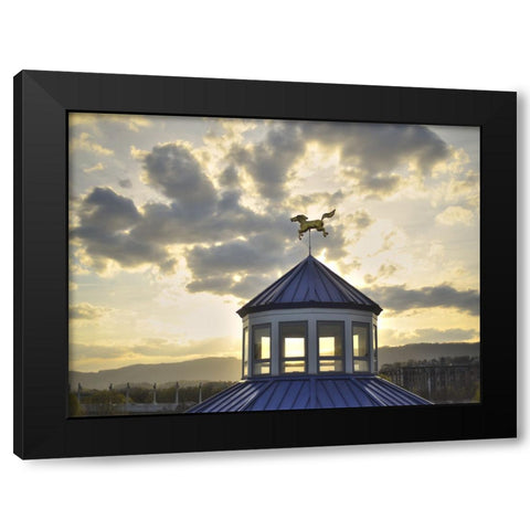 Carousel Last Light Black Modern Wood Framed Art Print with Double Matting by Lee, Rachel